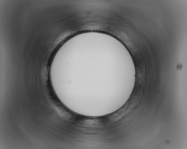 X0000101200160200807251034