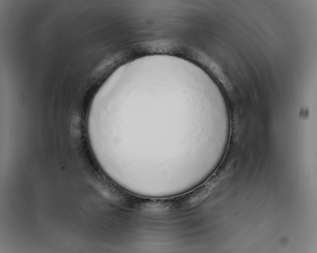 X0000101200161200807251034