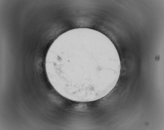 X0000101200162200807251034