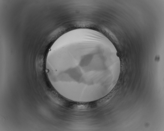 X0000101200163200807251034