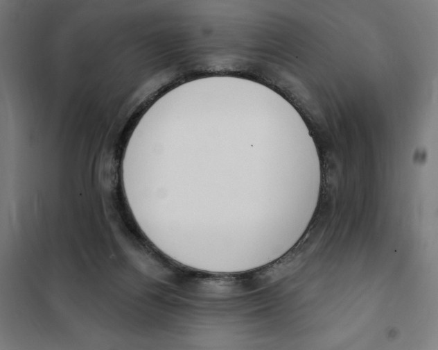 X0000101200164200807251034
