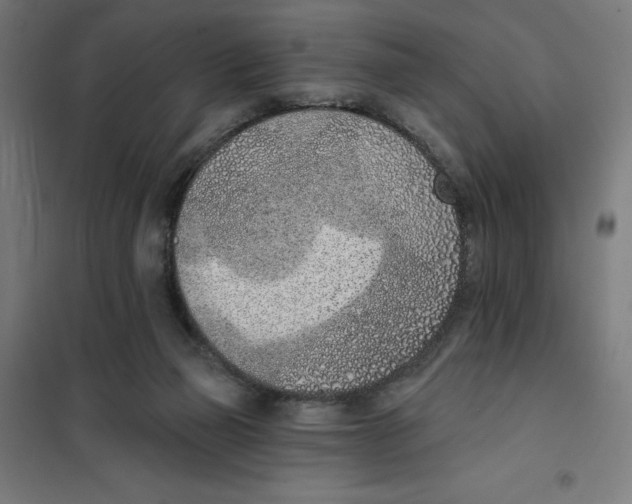 X0000101200165200807251034