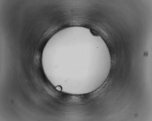 X0000101200166200807251034
