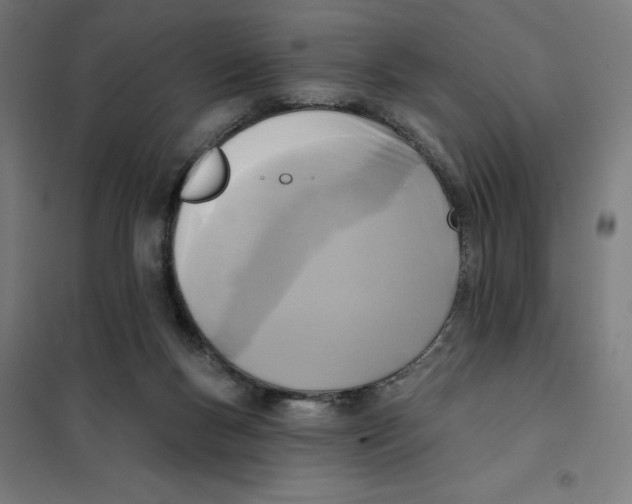 X0000101200167200807251034