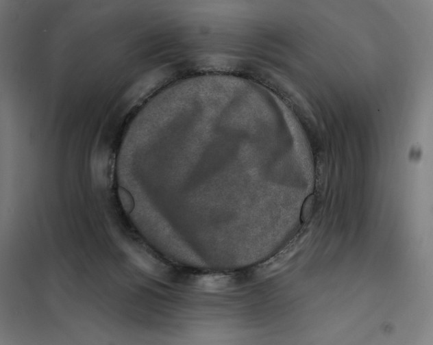 X0000101200168200807251034
