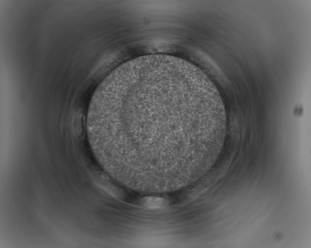 X0000101200169200807251034