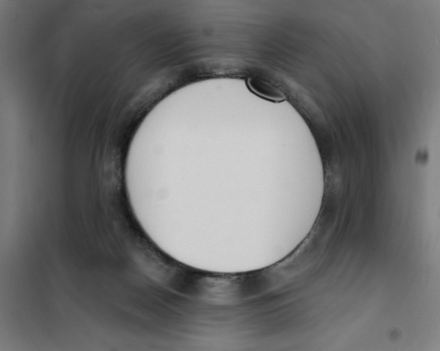 X0000101200170200807251034