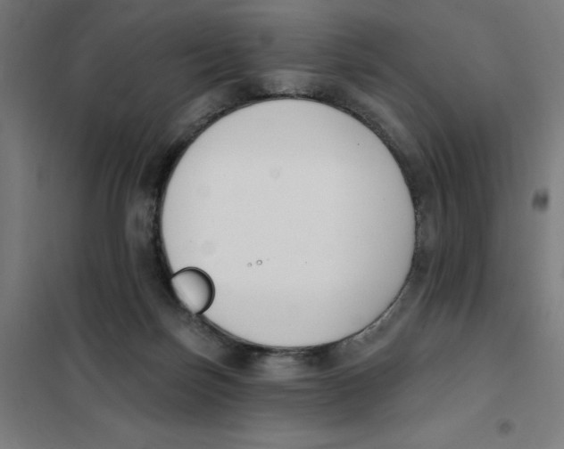 X0000101200171200807251034