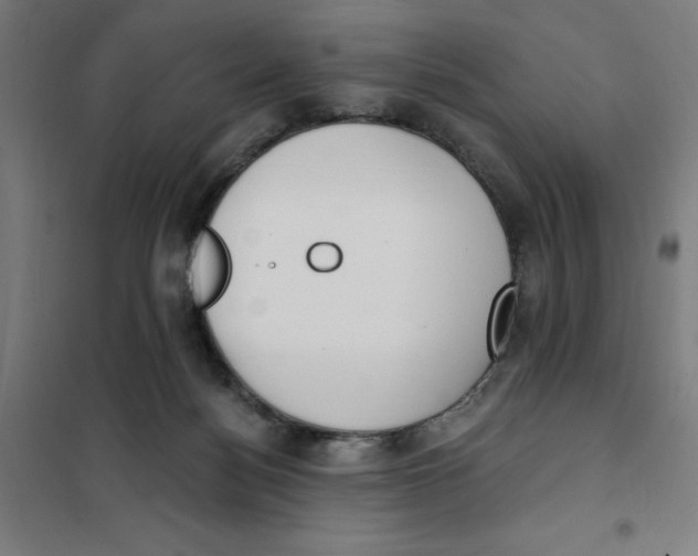 X0000101200172200807251034