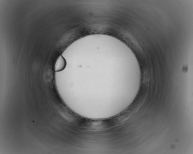 X0000101200173200807251034