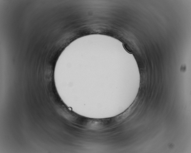 X0000101200174200807251034