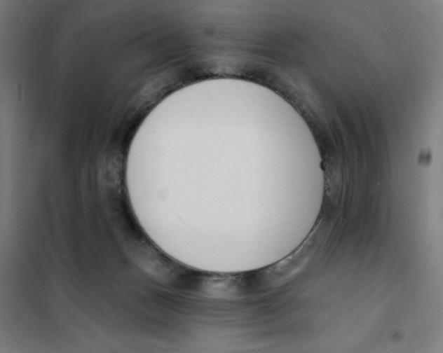 X0000101200175200807251034