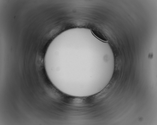 X0000101200176200807251034