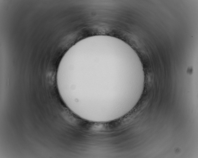 X0000101200177200807251034