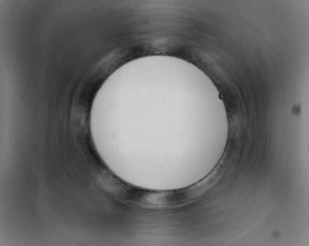 X0000101200178200807251034