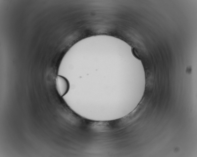 X0000101200179200807251034