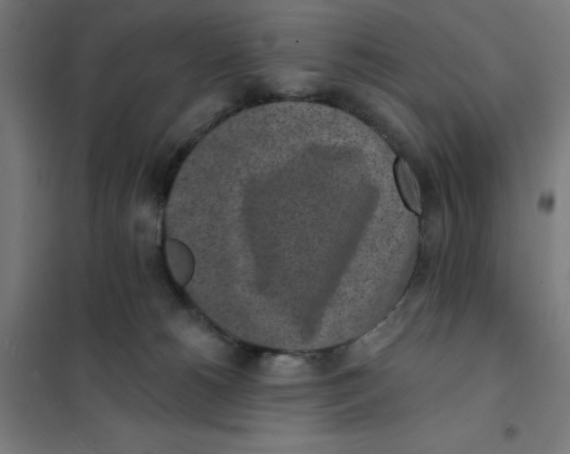 X0000101200180200807251034