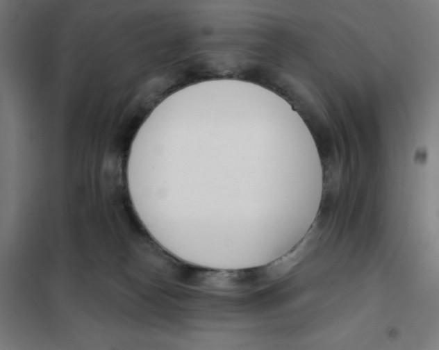 X0000101200182200807251034