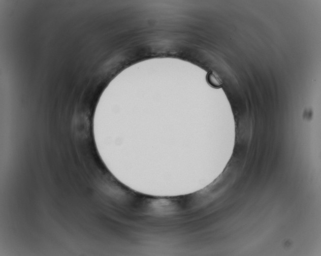 X0000101200183200807251034