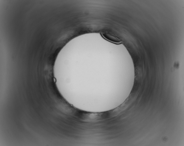 X0000101200184200807251034