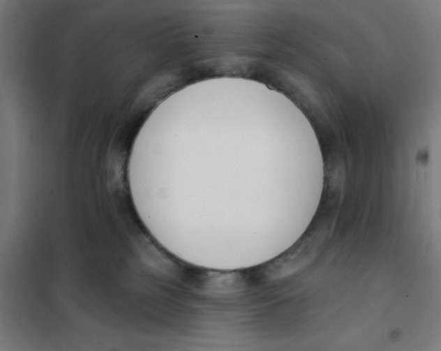 X0000101200185200807251034