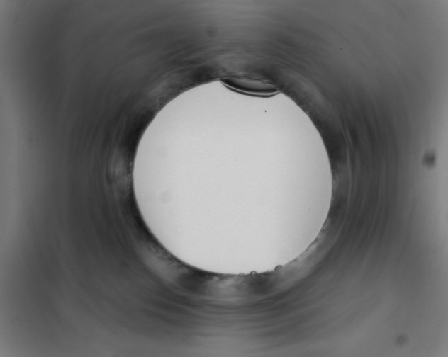 X0000101200186200807251034