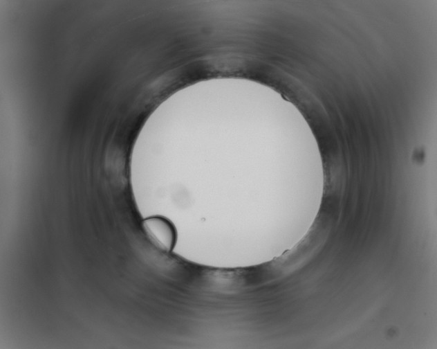 X0000101200187200807251034