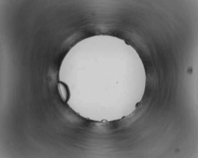 X0000101200188200807251034