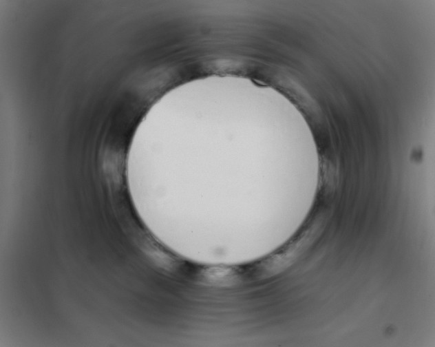 X0000101200189200807251034