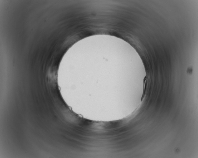 X0000101200190200807251034