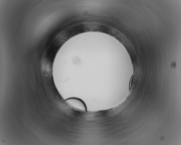 X0000101200191200807251034