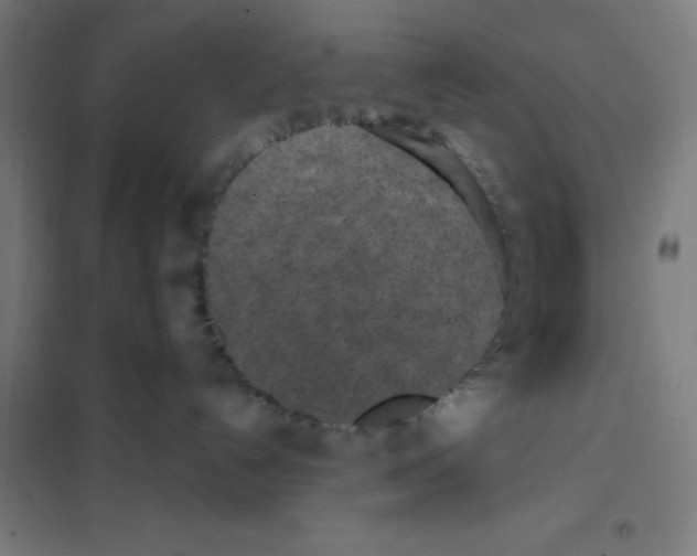 X0000101200192200807251034