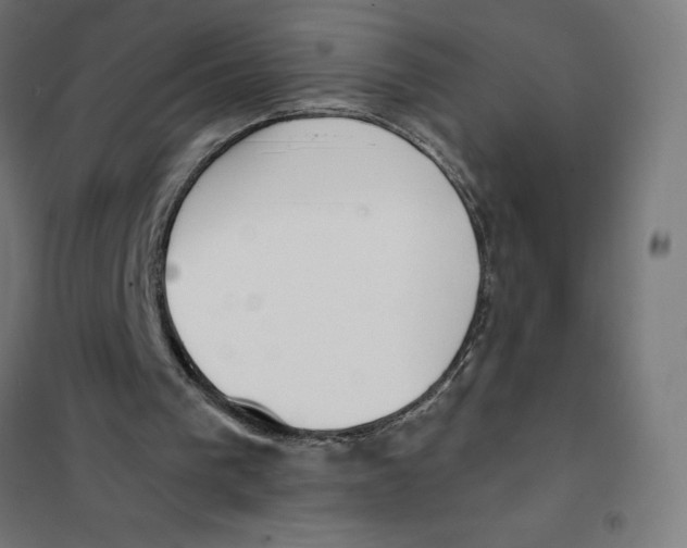 X0000101200193200807251034