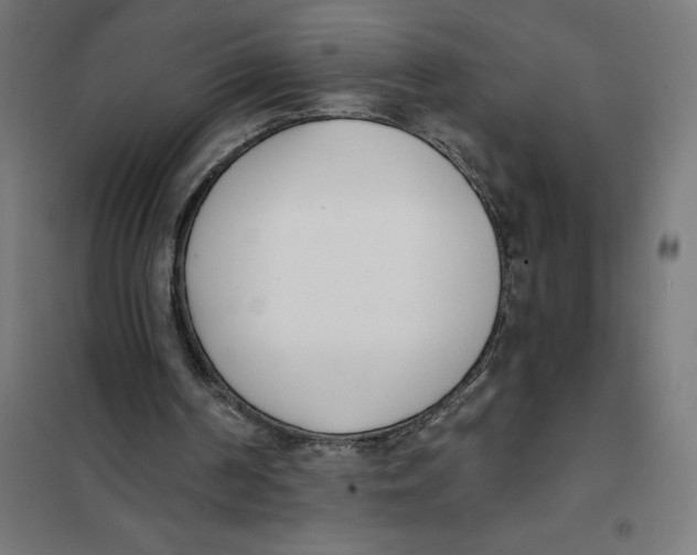 X0000101200194200807251034