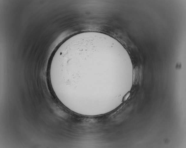 X0000101200195200807251034