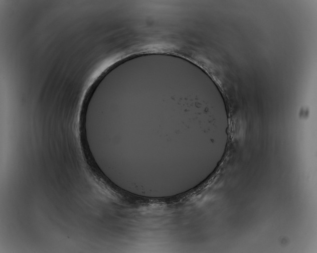 X0000101200196200807251034
