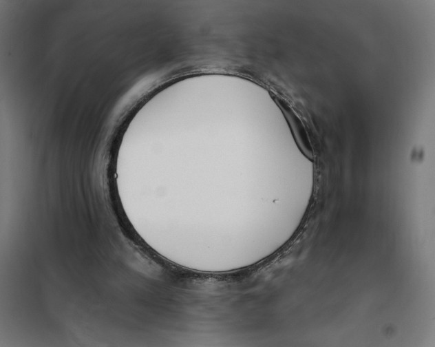 X0000101200197200807251034