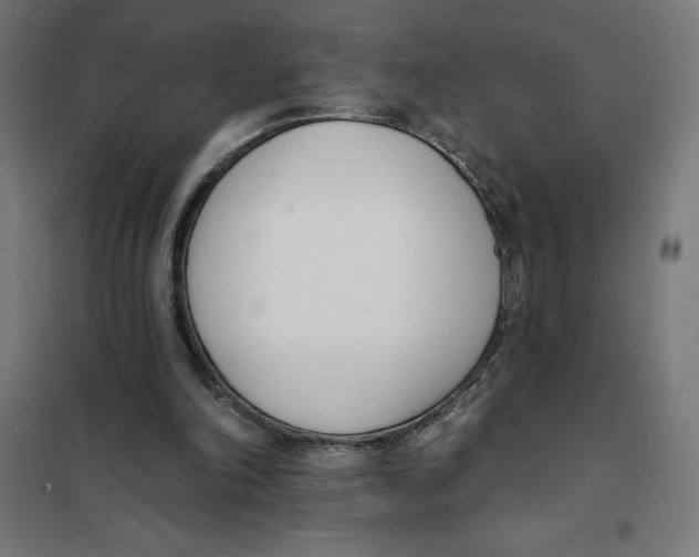 X0000101200198200807251033
