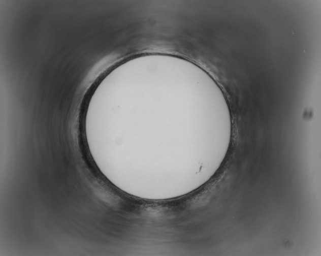 X0000101200199200807251033
