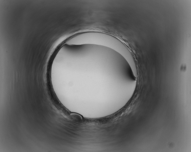 X0000101200200200807251033