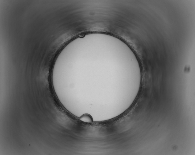 X0000101200201200807251033