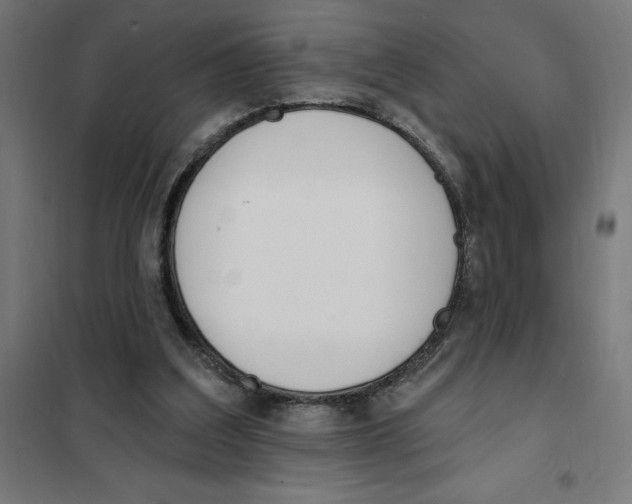 X0000101200203200807251033
