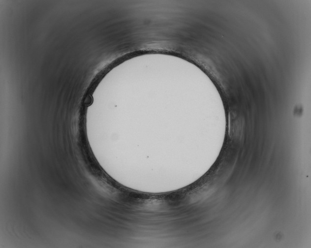 X0000101200204200807251033