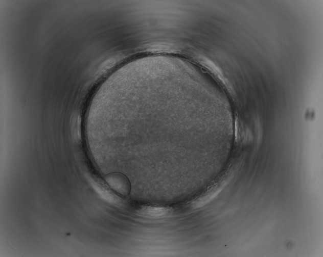 X0000101200205200807251033