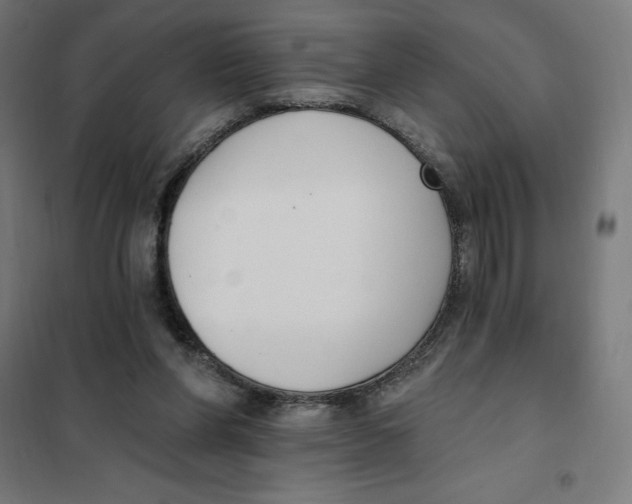 X0000101200206200807251033
