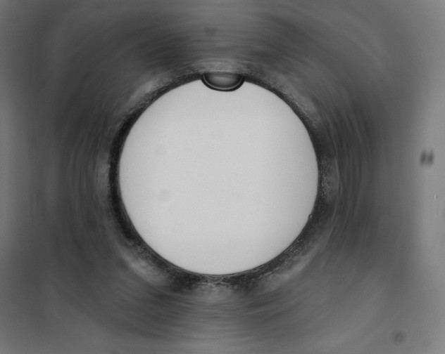 X0000101200207200807251033
