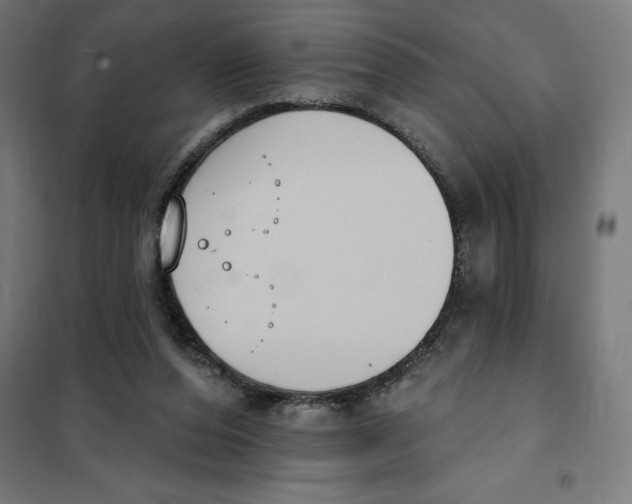 X0000101200208200807251033