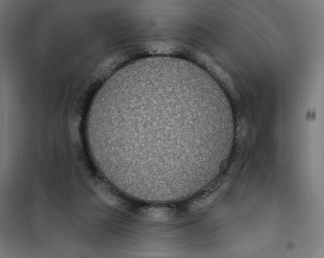 X0000101200209200807251033