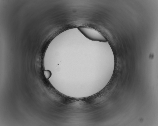 X0000101200210200807251033