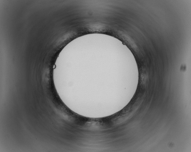 X0000101200211200807251033